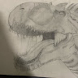 Meet your Posher, Maddy